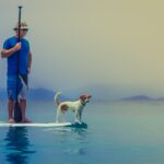 man and dog on paddleboard