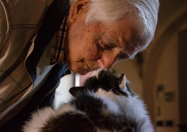 elderly man looking at a cat