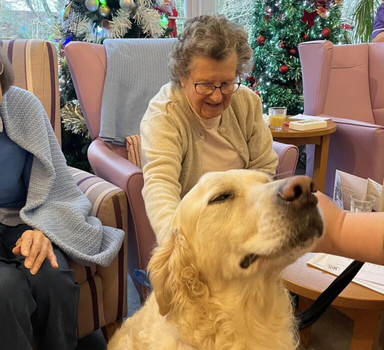 elderly woman stroking golden retriever