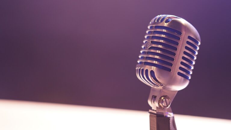 silver microphone