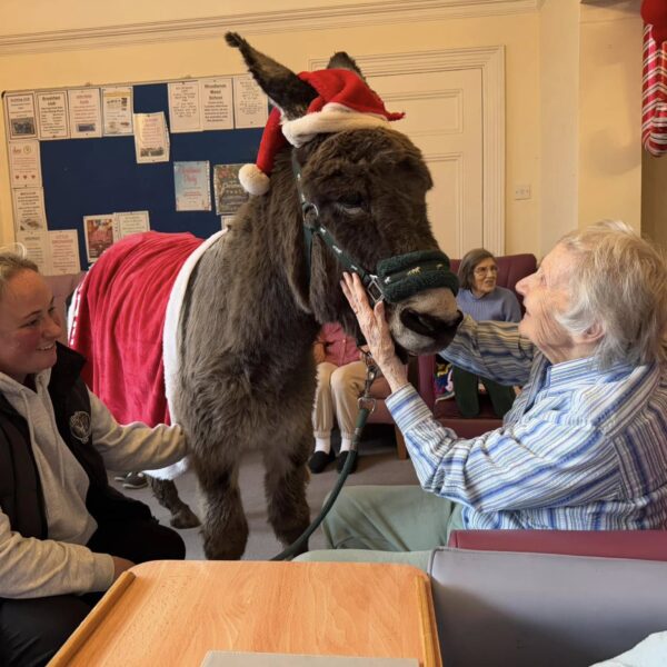 Hilgay Care Home Activities Animals