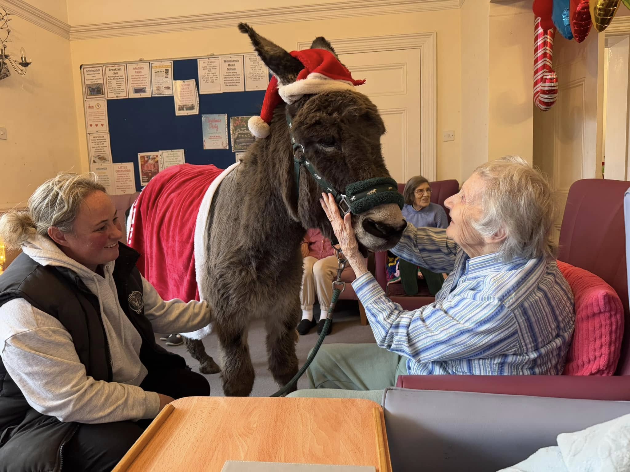 Hilgay Care Home Activities Animals