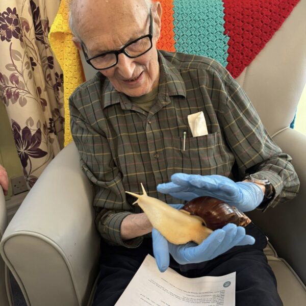 Hilgay Care Home Animals
