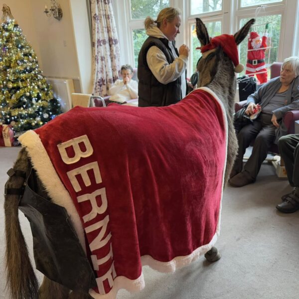 Hilgay Care Home Christmas Activities