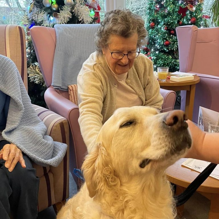 elderly woman stroking golden retriever