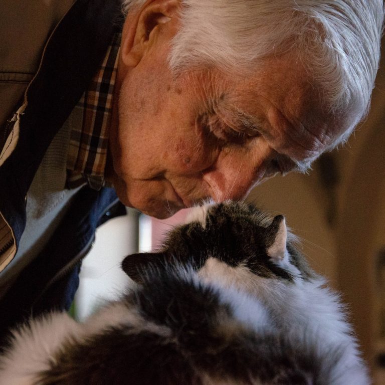 elderly man looking at a cat